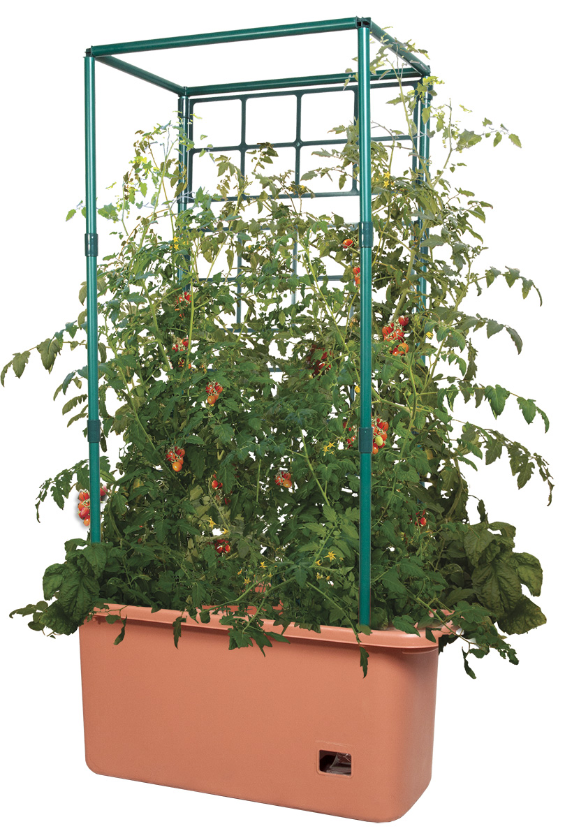 Tomato Trellis Garden on Wheels | Wholesale Growers Direct