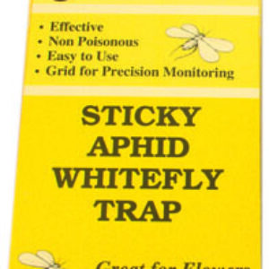 Yellow Sticky Traps