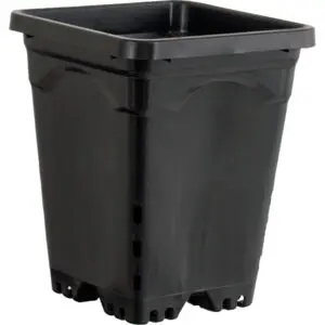Black Bucket 3.5 gallon  Wholesale Growers Direct