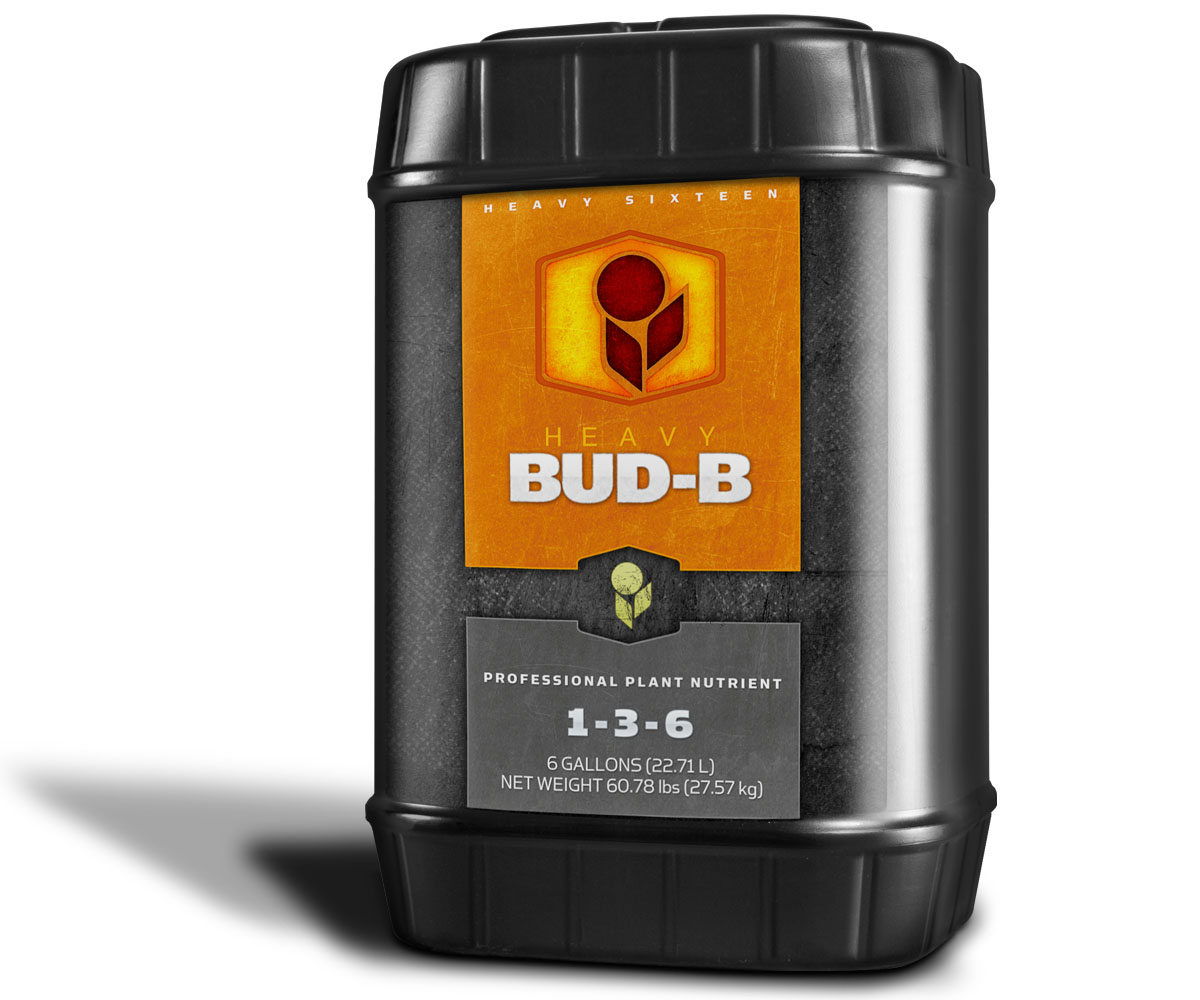 HEAVY 16 Bud B, 6 Gal | Wholesale Growers Direct