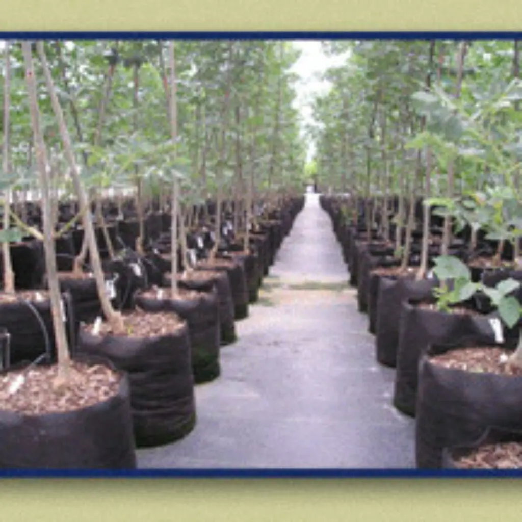 45 TREE CONTAINER - Grower's Nursery Supply