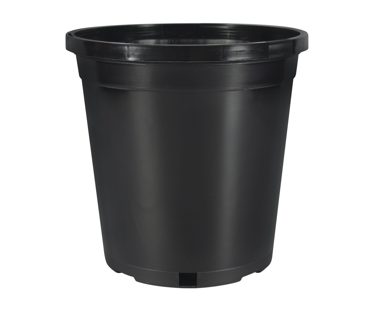 Pro Cal Premium Nursery Pot with Tag Slot, 2 gal | Wholesale Growers Direct